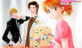 华丽的挑战动漫国语版,青春动漫的华丽绽放